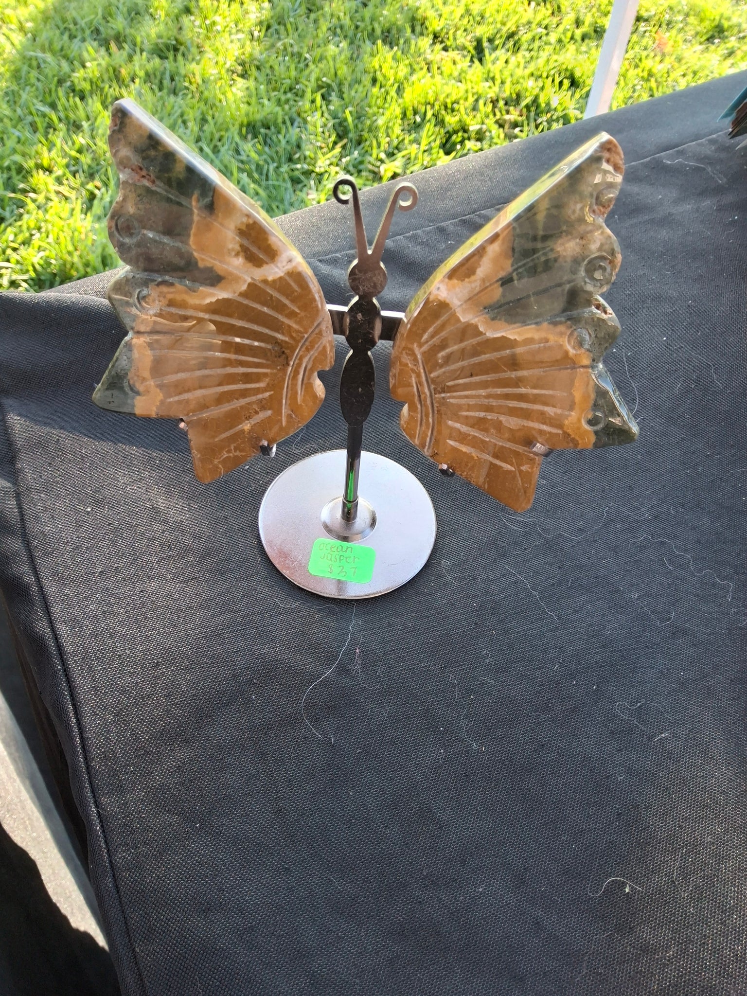 Ocean Jasper Butterfly